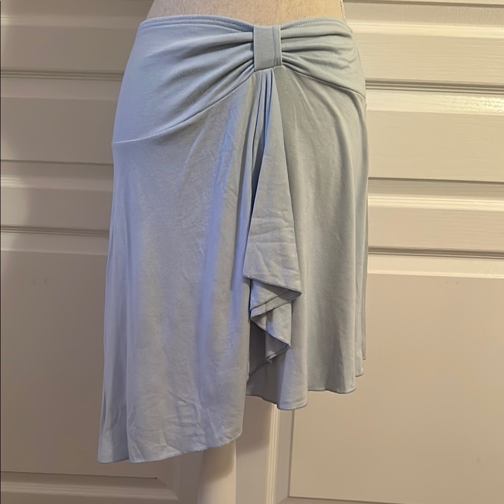 Elegant Light Blue Women's Skirt